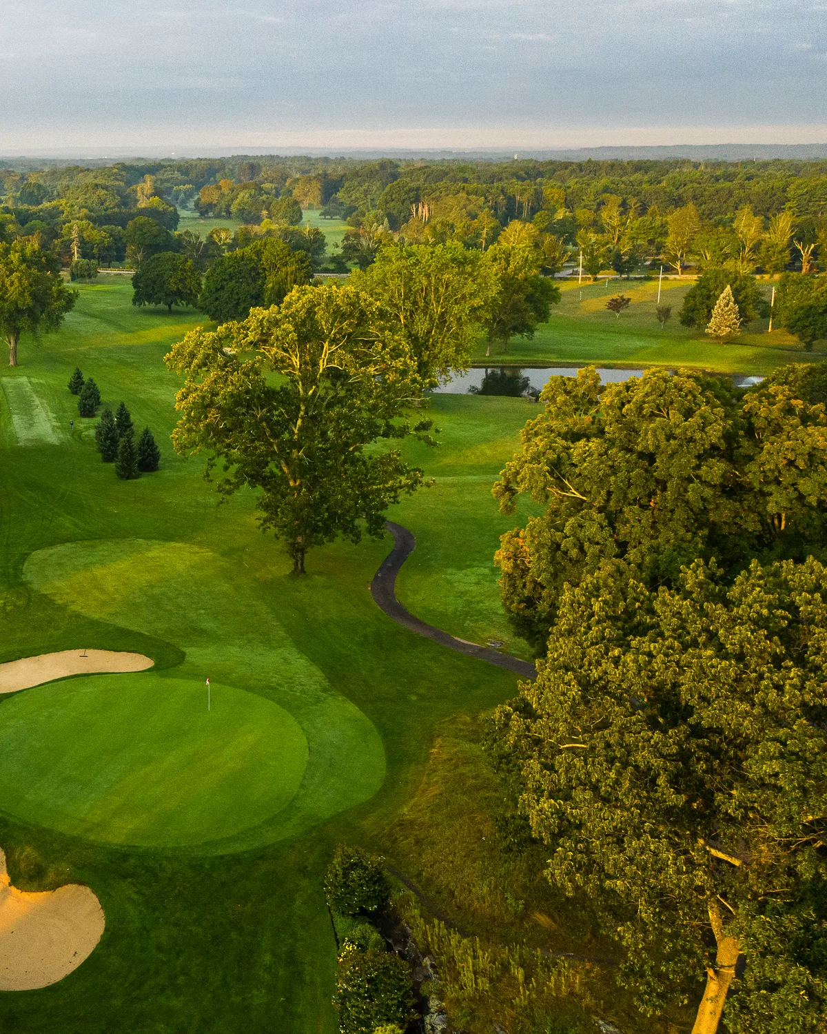 Aerial of a green ringed by kidney bunkers