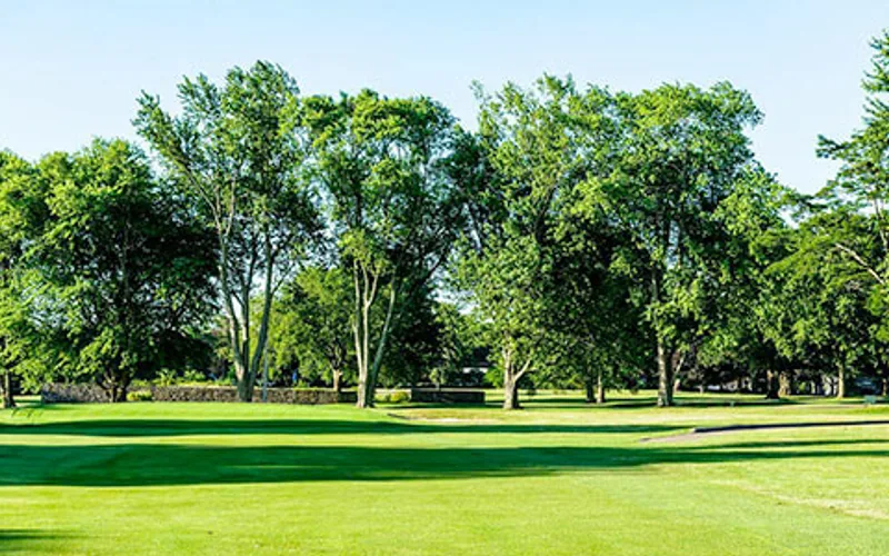 The Meadows — hole 11