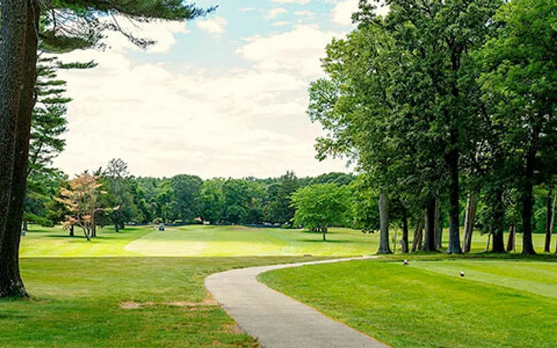The Plains — hole 4