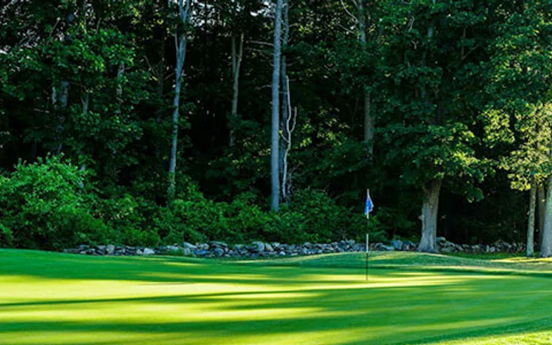 Pine Alley — hole 6